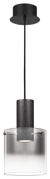 Quoizel PCKR1508EK LED Mini Pendant, Earth Black Finish