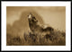 "Timber Wolf adult howling, Teton Valley, Idaho - Sepia"  by Tom Vezo, 44x32"