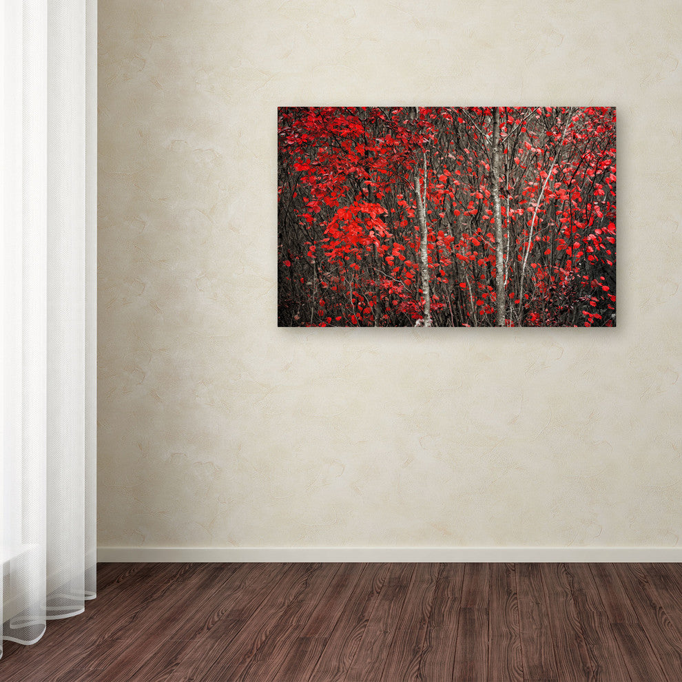 'The Hush Before Winter' Canvas Art by Philippe Sainte-Laudy