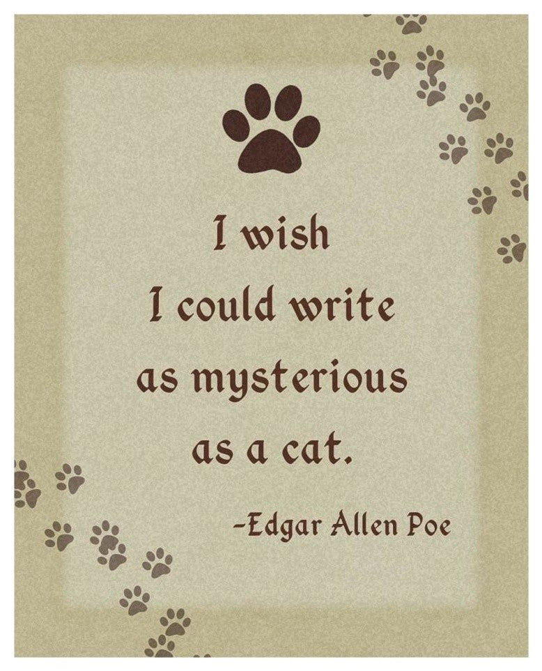 "Edgar Allen Poe: Mysterious" Digital Paper Print by BG.Studio, 22"x26"