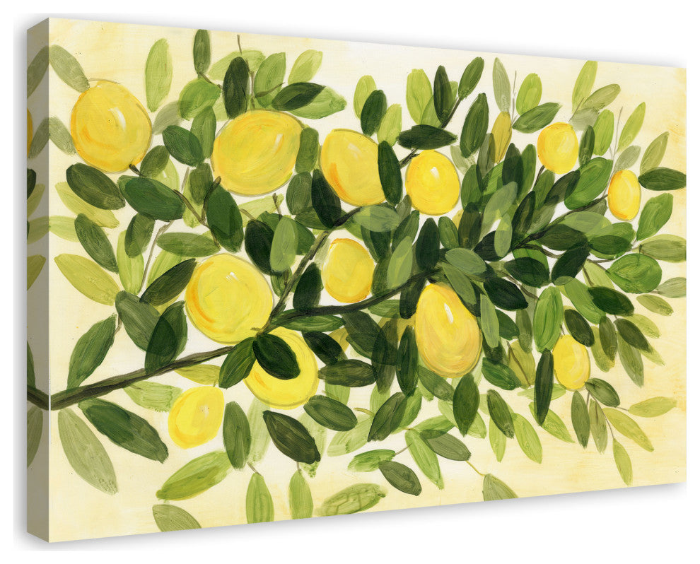 Painted Lemons 36x24 Canvas Wall Art