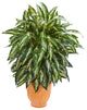 Nearly Natural Aglonema Artificial Plant In Terra Cotta Planter