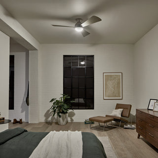 54" Sola Fan LED, Brushed Nickel/Silver Blade