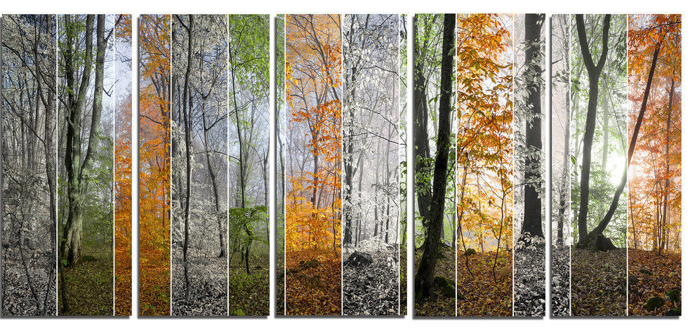 Wood Panorama Changing Seasons, Landscape Canvas Art Print, 60"x28", 5 Panels