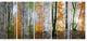 Wood Panorama Changing Seasons, Landscape Canvas Art Print, 60"x28", 5 Panels