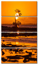 Lonely Mangrove in Florida Coast, Landscape Canvas Print, 28"x48", 4 Panels
