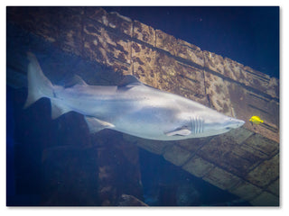 "and You Are" Canvas Art by Yale Gurney, 19"x14"