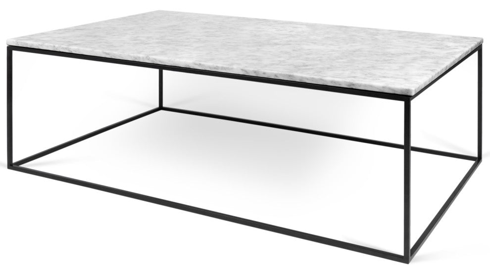 Modern Metal Rectangle Marble Top Coffee Table, White Marble/Black Base