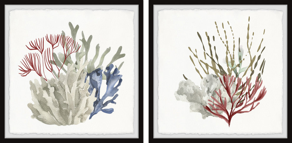 Seaweed and Corals Diptych, 2-Piece Set, 12x12 Panels