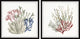 Seaweed and Corals Diptych, 2-Piece Set, 12x12 Panels