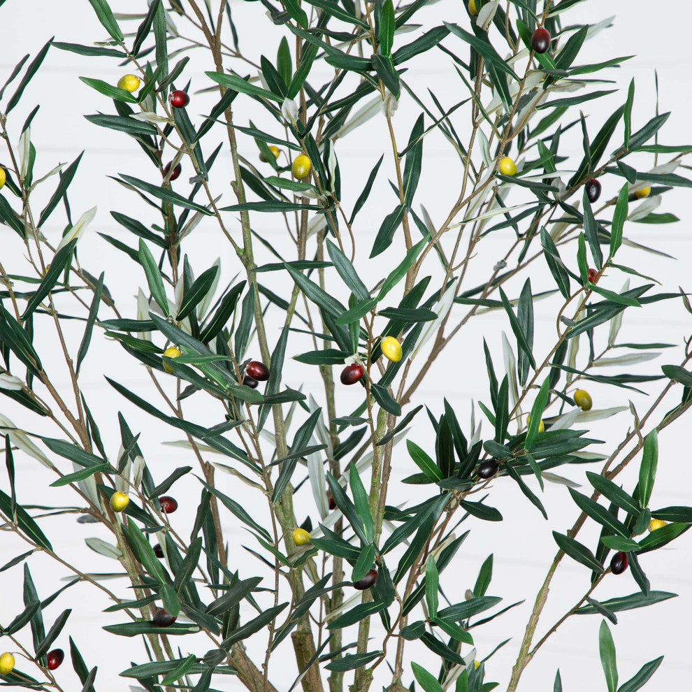 Close-up of leaves and olives on white background.