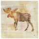 "Moose Study" Digital Paper Print by Studio Mousseau, 42"x42"