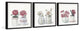 Pretty Pink Flowers Triptych, Set of 3, 12x12 Panels