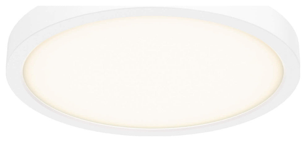 10" Round Indoor/Outdoor LED Flush Mount, White