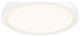 10" Round Indoor/Outdoor LED Flush Mount, White