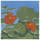 "Happy Day I" Digital Paper Print by Kathrine Lovell, 32"x32"