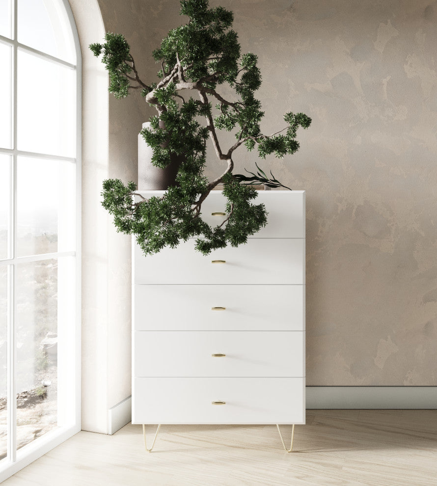 Lifestyle image showing the chest in a real room environment with a plant; product fully visible