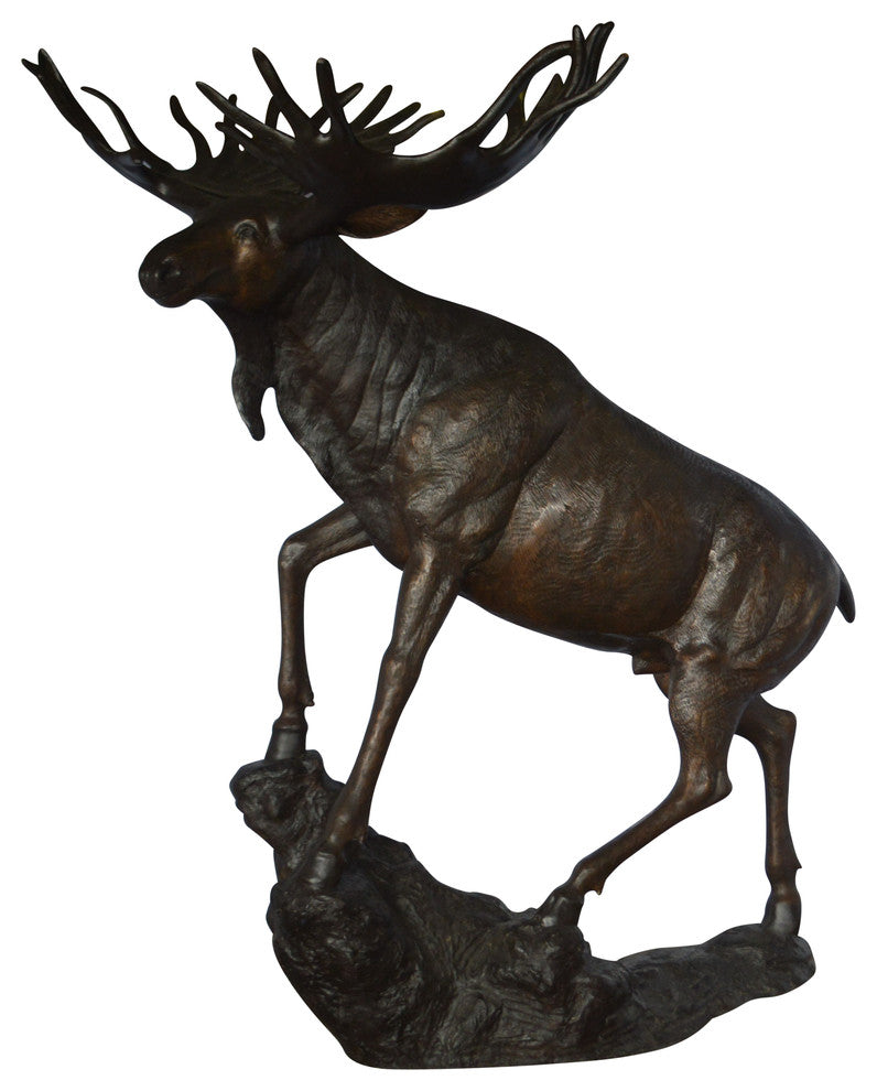 Moose - Life Size Bronze Statue -  Size: 62"L x 48"W x 80"H.
