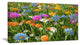Different Color Flowers in Field, Large Floral Canvas Art Print, 60"x28"