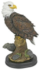 Medium Noble Bald Eagle Statue