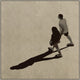 Figure Shadow 4, Giclee Reproduction Artwork