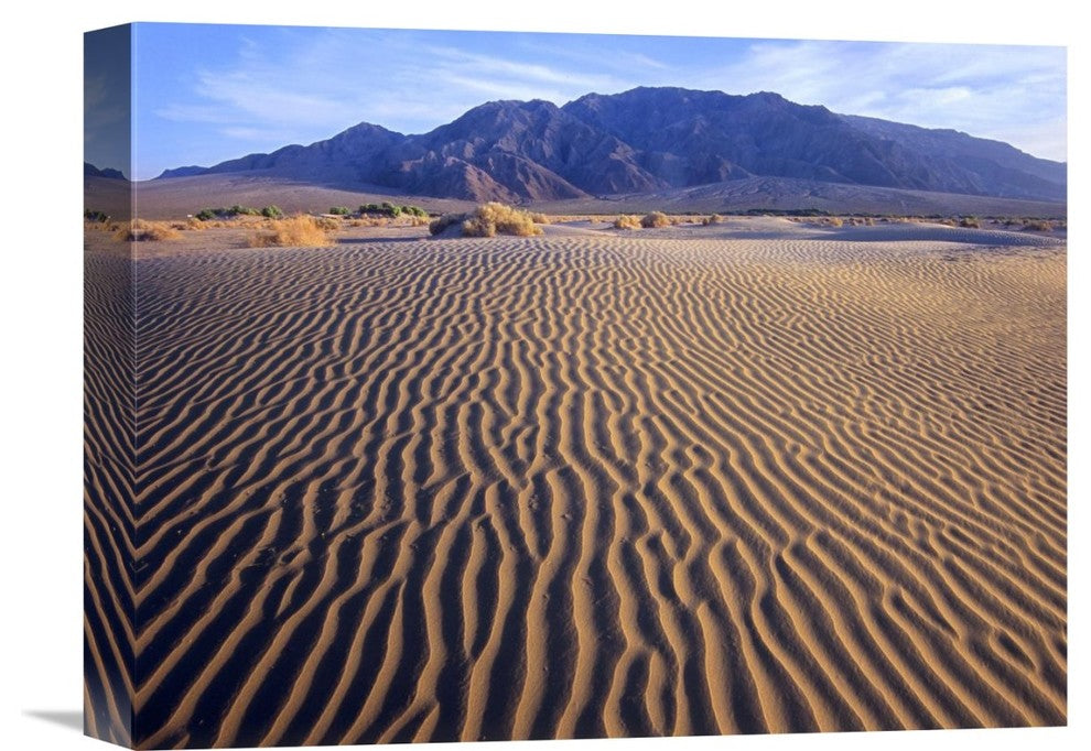 "Tucki Mountain And Mesquite Flat, Death Valley National Park, CA" Artwork