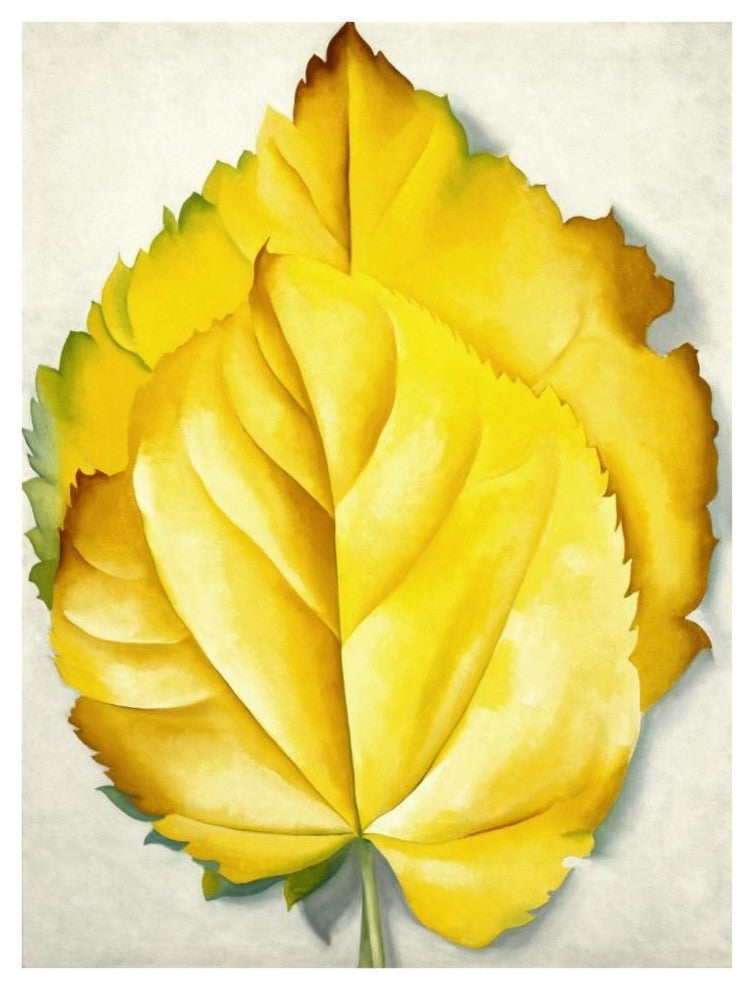 "2 Yellow Leaves (Yellow Leaves), 1928" Print by Georgia O'Keeffe, 29"x38"