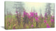 Purple Summer Flowers in Foggy Field, Floral Art Canvas Print, 32"x16"