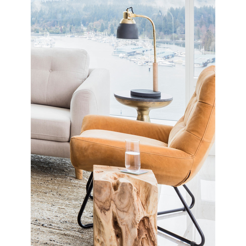Modern Graduate Lounge Chair Tan - Brown