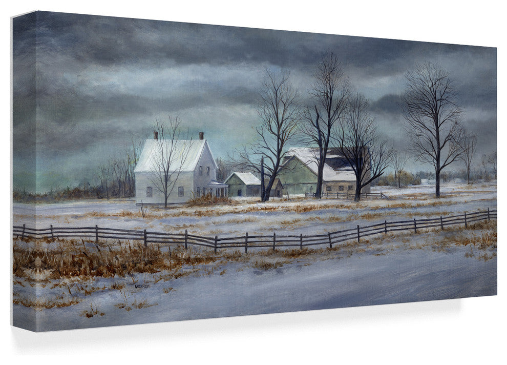 "Winter Gray" by John Morrow, Canvas Art, 24"x12"