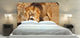 "Lion" Headboard