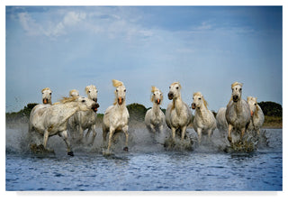 Xavier Ortega 'Out Of My Way' Canvas Art, 47"x30"