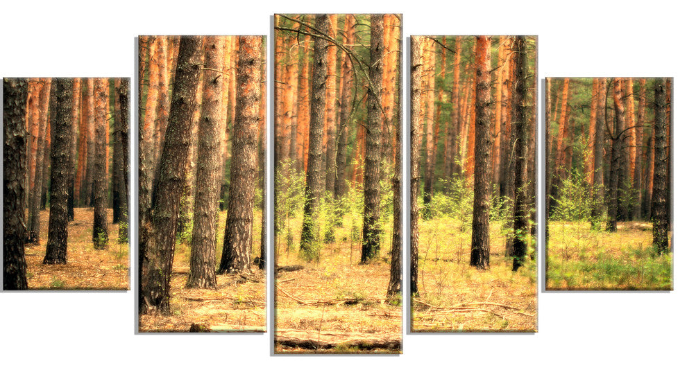 Beautiful Pine Forest at Sunset, Modern Forest Canvas Art, 60"x32", 5 Panels