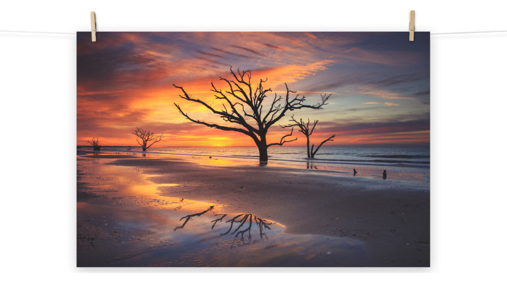 Sunrise and Trees At Edisto Island Coastal Landscape Photo Loose Wall Art Print, 24" X 36"