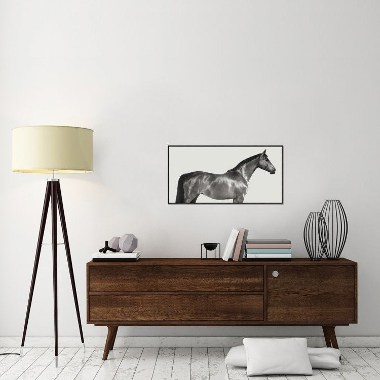 "Kingsman Cavalier, English Thoroughbred"  by Pangea Images, 37x19"
