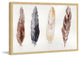 Marmont Hill, "Feathers" by Christine Lindstrom Framed Painting Print, 24x16