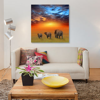 "The Future Is Bright" by Ben Heine, Canvas Print, 12"x12"
