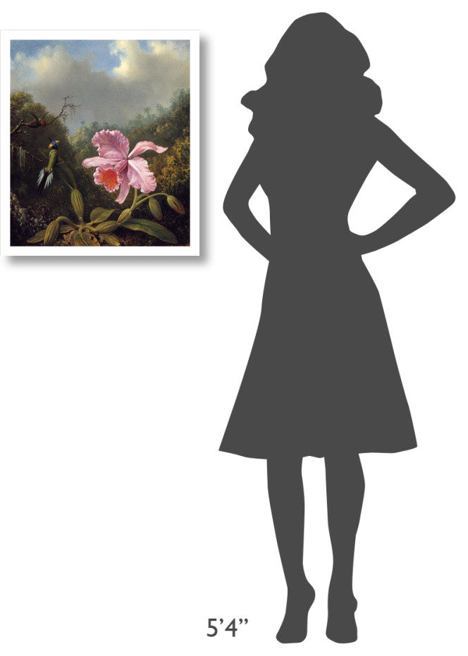 "Fighting Hummingbirds With Pink Orchid" Print by Martin Johnson Heade, 21"x24"