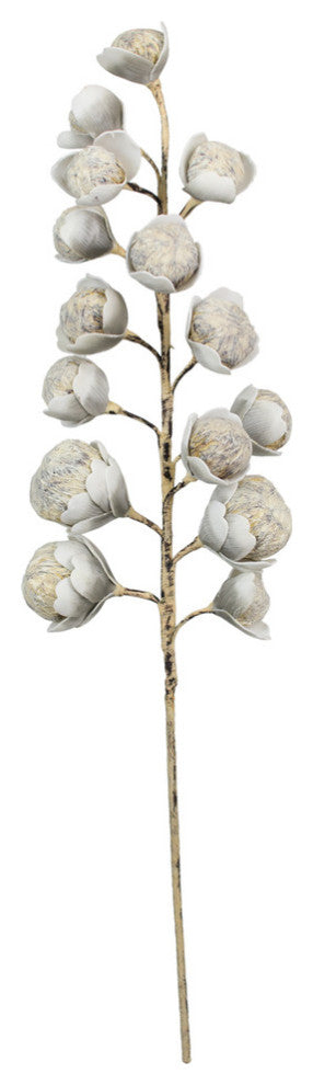 Kalalou Csl1297 Botanica #2297