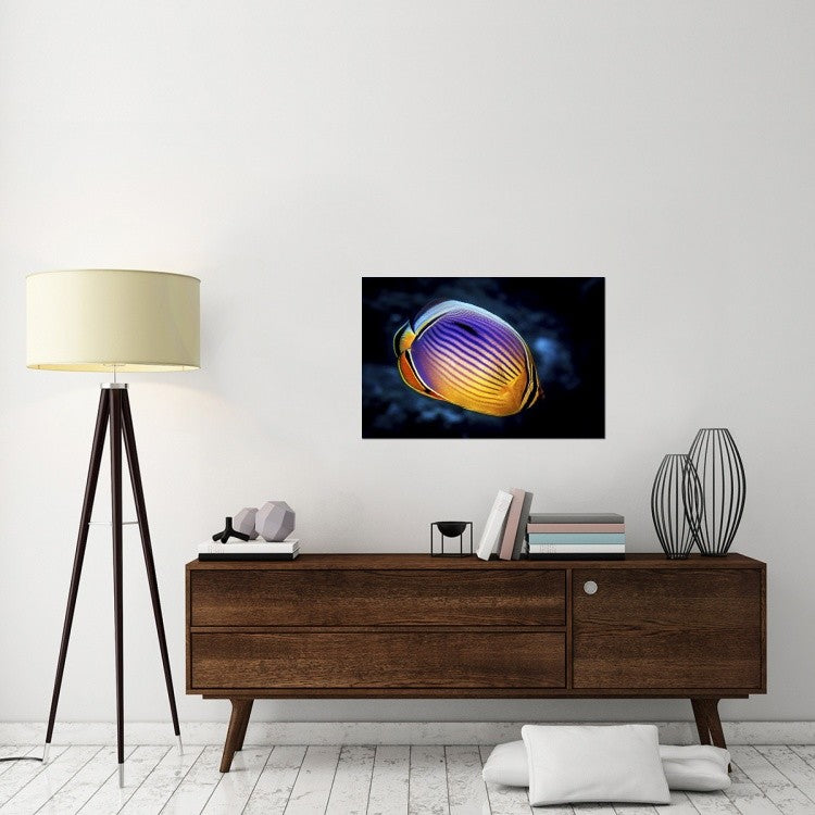 "Butterflyfish" Stretched Canvas Giclee by Barathieu Gabriel, 36x24"