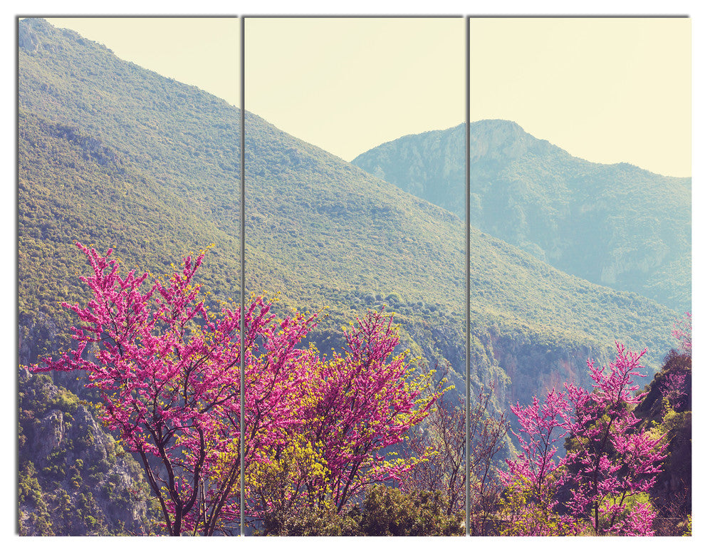 Pink Blossoming Flowers in Mountains, Floral Canvas Art Print, 36x28, 3 Panels