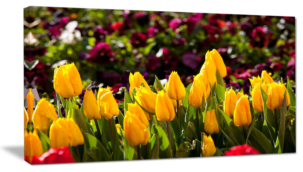 Beautiful Yellow Tulips Garden, Large Flower Canvas Art Print, 32"x16"