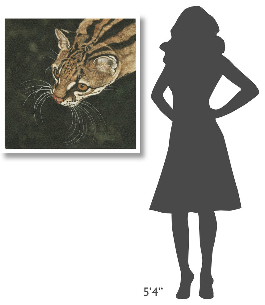 "The Margay" Digital Paper Print by Jacquie Vaux, 32"x32"