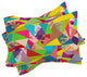 Deny Designs Bianca Green Colorful Thoughts Pillow Shams, Queen