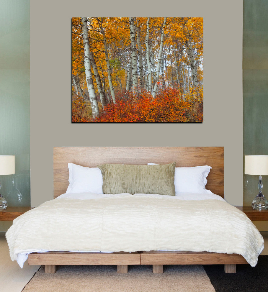 Epic Graffiti "Morning Aspens" by Jesse Estes, Giclee Canvas Wall Art, 40"x 54"