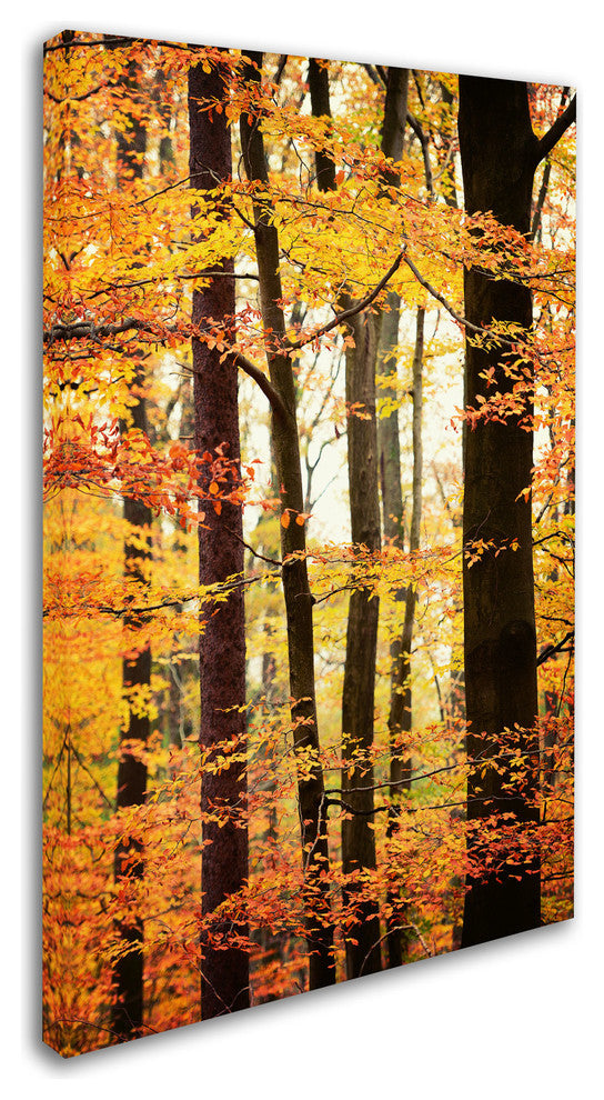 'Between Us' Canvas Art by Philippe Sainte-Laudy