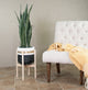 Large Handcrafted Fiber Clay Pot 10'''' With Wood Plant Stand Natural Color(Ash)