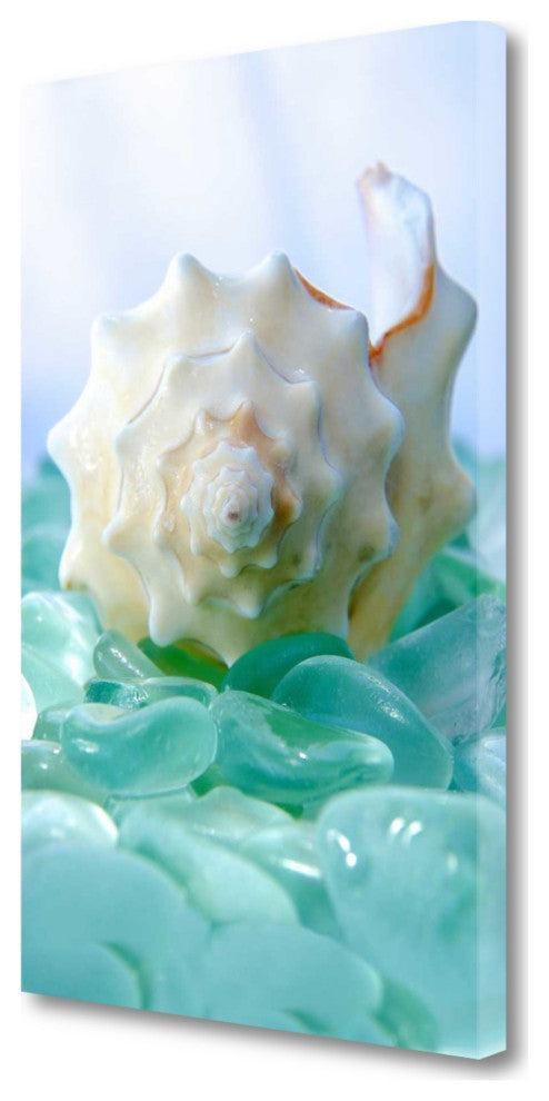 24" Conchshell and Blue Seaglass Giclee Wrap Canvas Wall Art