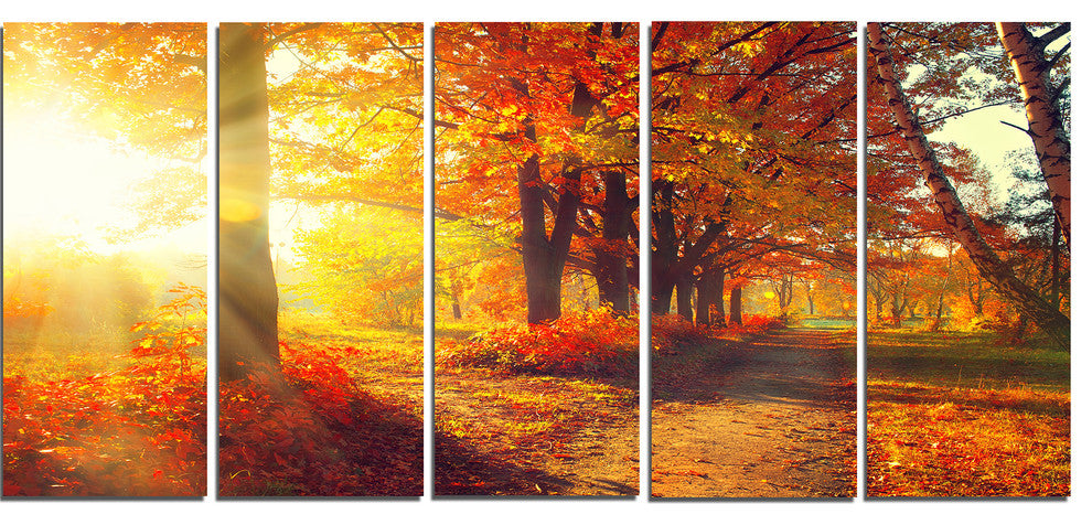 Autumnal Trees in Sunrays, Large Landscape Canvas Art Print, 60"x28", 5 Panels