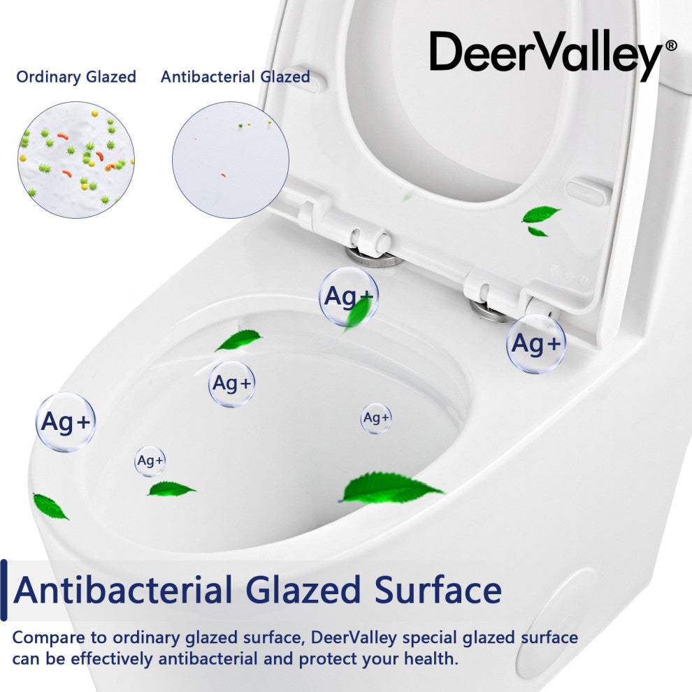 Dual Flush Elongated One Piece Toilet With Glazed Surface, Seat Included